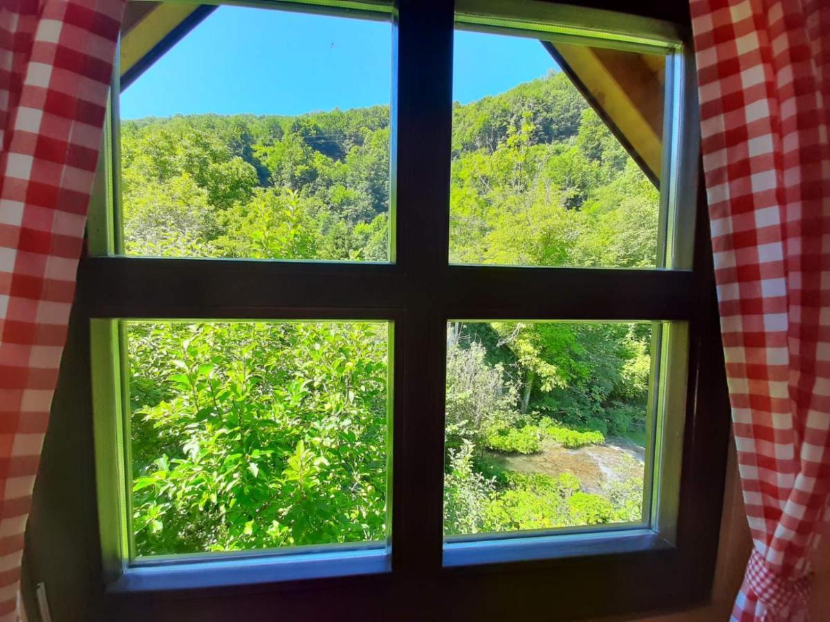 Country house Janjske Otoke - Smjestaj Na Selu Sipovo