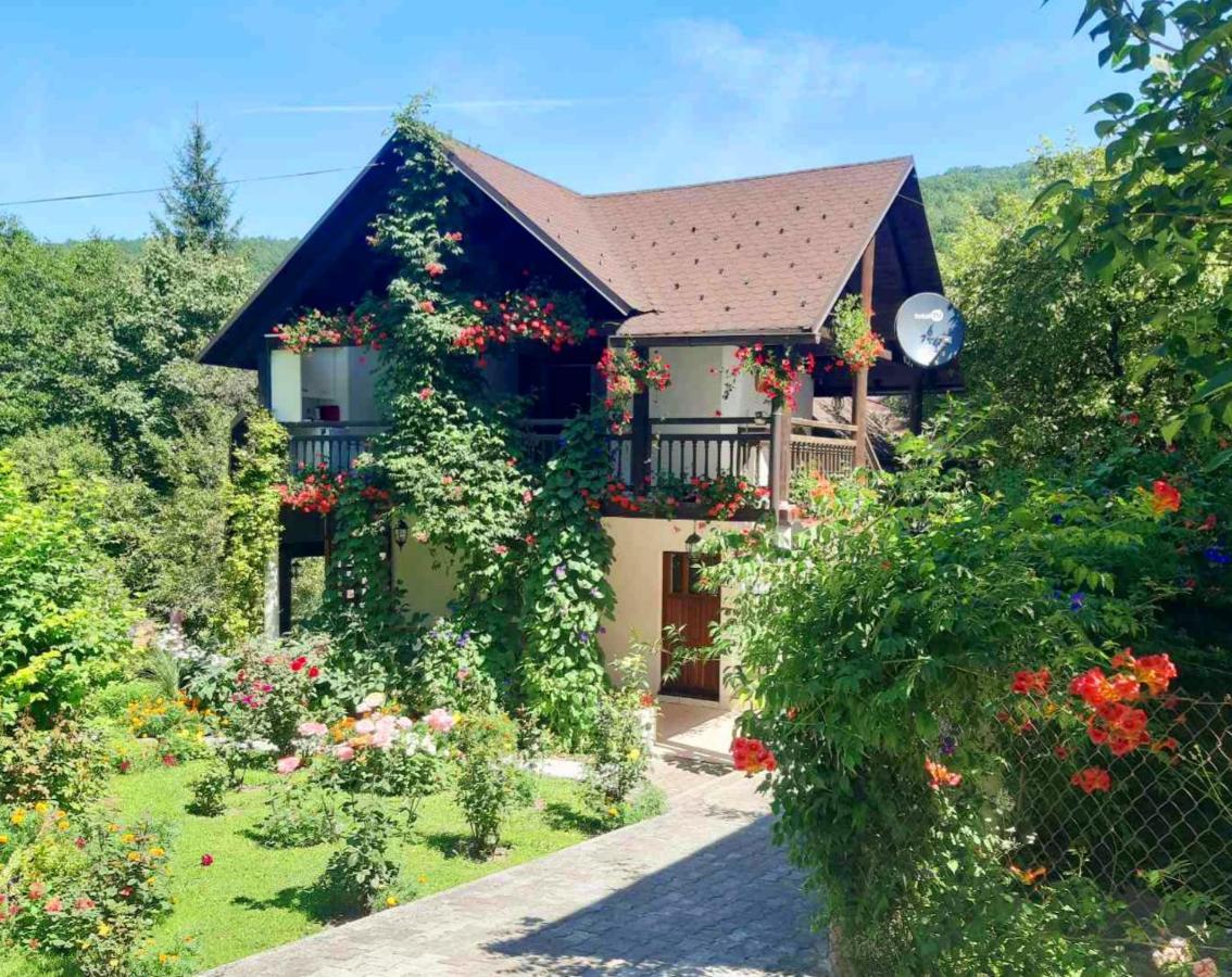 Janjske Otoke - Smjestaj Na Selu Country house Sipovo